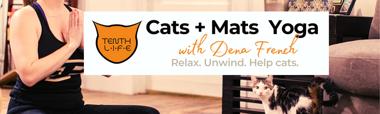 https://www.tenthlifecats.org/mm/images/Yoga/Copy%20of%20CATS%20N'%20MATS%20(766%20%C3%97%20231%20px).png